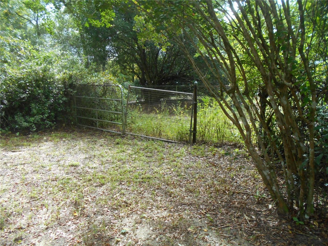 20425 NE 143rd Street, Salt Springs, FL 32134 Photo