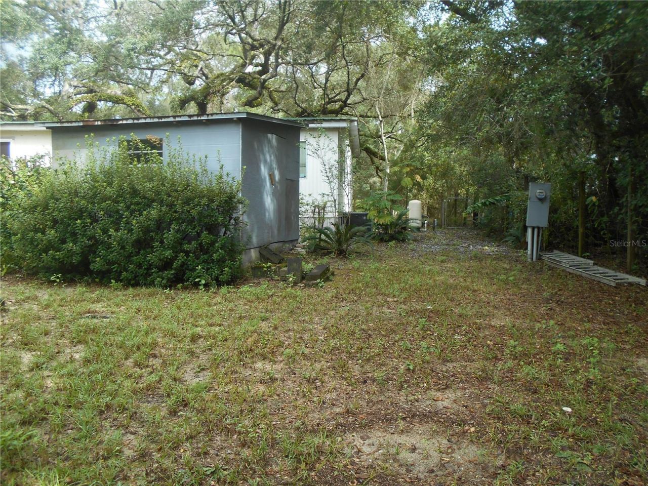 20425 NE 143rd Street, Salt Springs, FL 32134 Photo