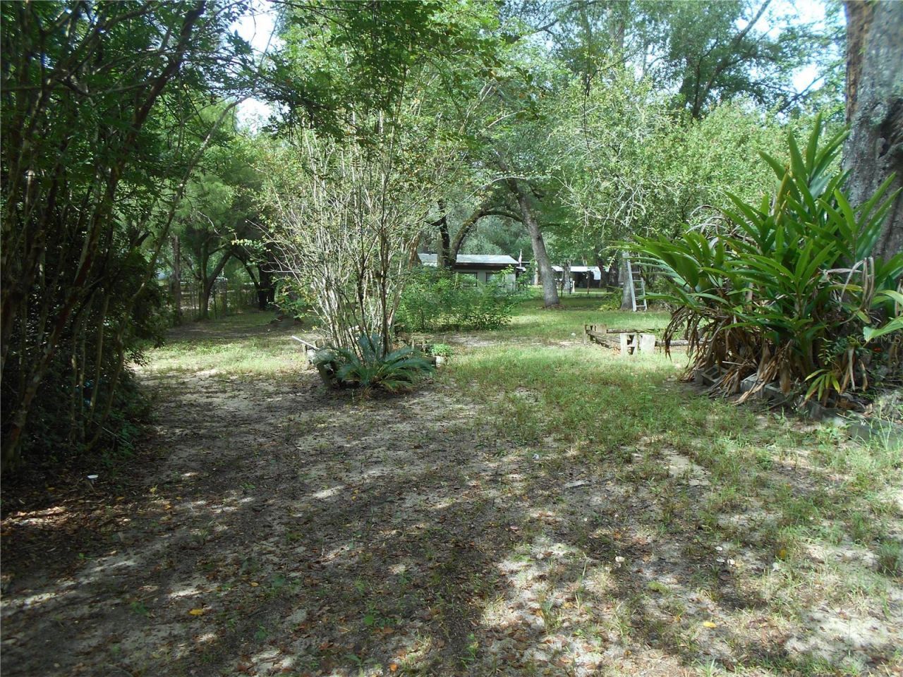 20425 NE 143rd Street, Salt Springs, FL 32134 Photo