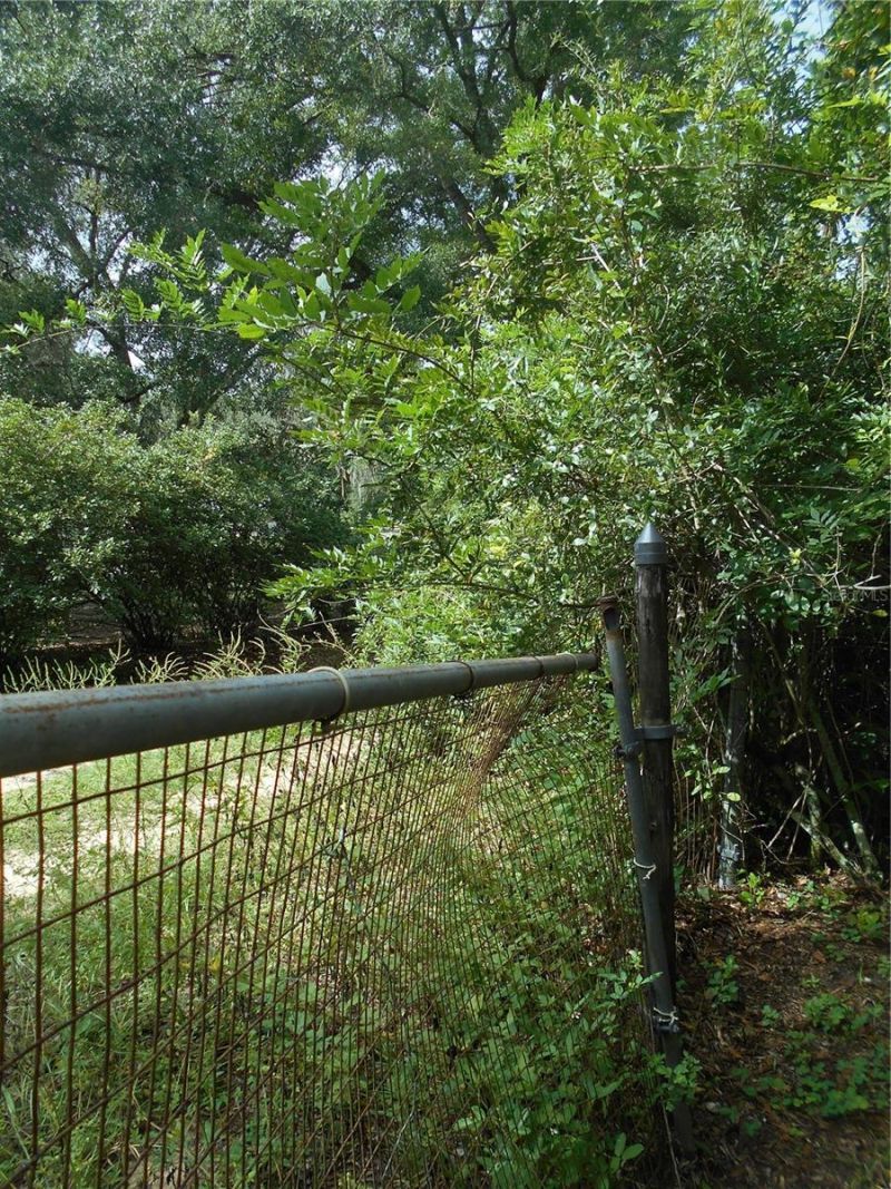 20425 NE 143rd Street, Salt Springs, FL 32134 Photo