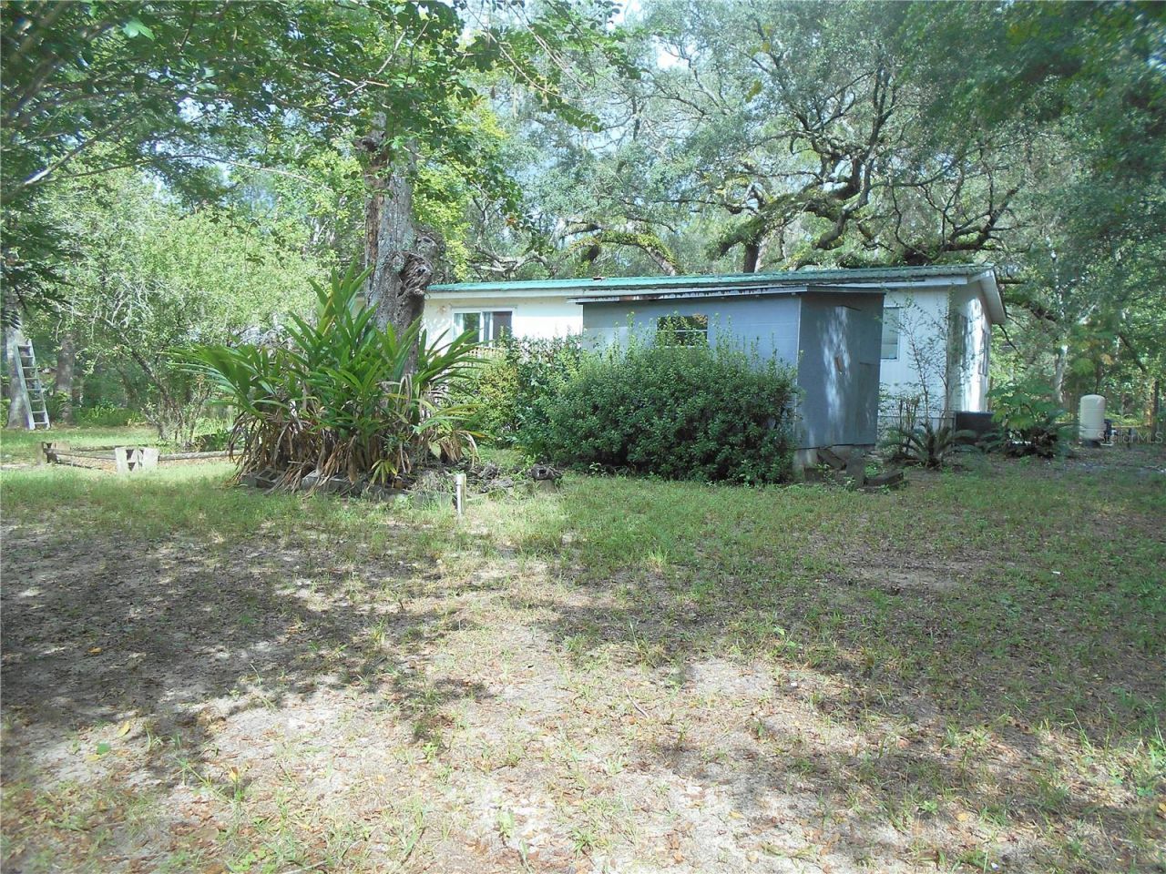 20425 NE 143rd Street, Salt Springs, FL 32134 Photo