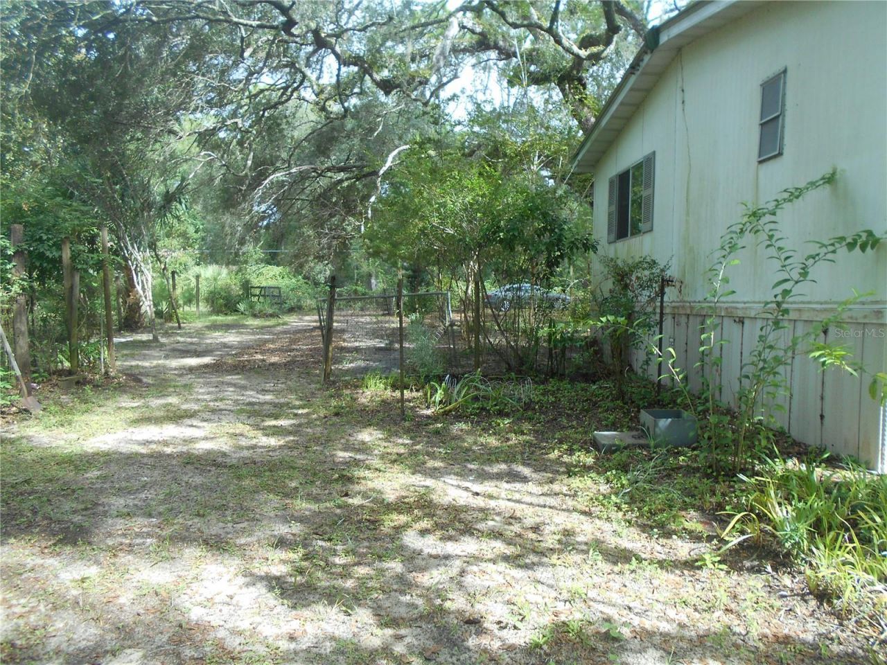 20425 NE 143rd Street, Salt Springs, FL 32134 Photo