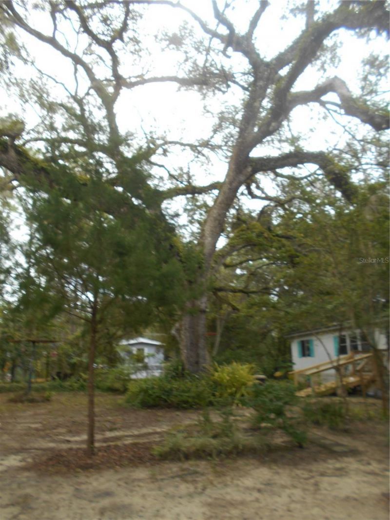 20425 NE 143rd Street, Salt Springs, FL 32134 Photo