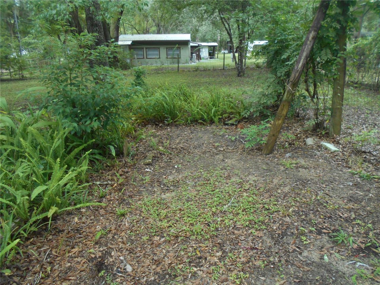 20425 NE 143rd Street, Salt Springs, FL 32134 Photo