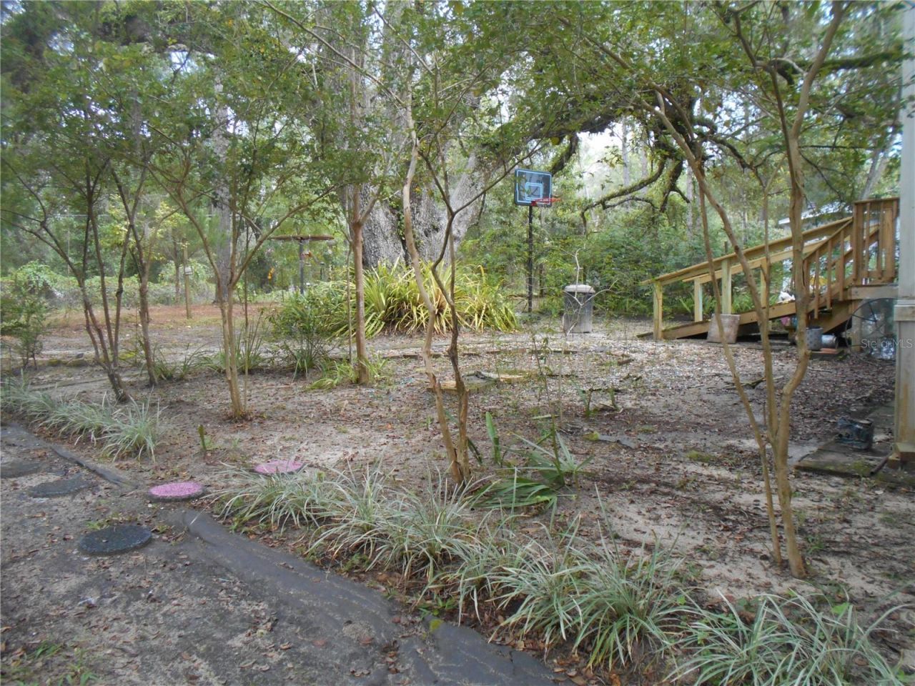 20425 NE 143rd Street, Salt Springs, FL 32134 Photo