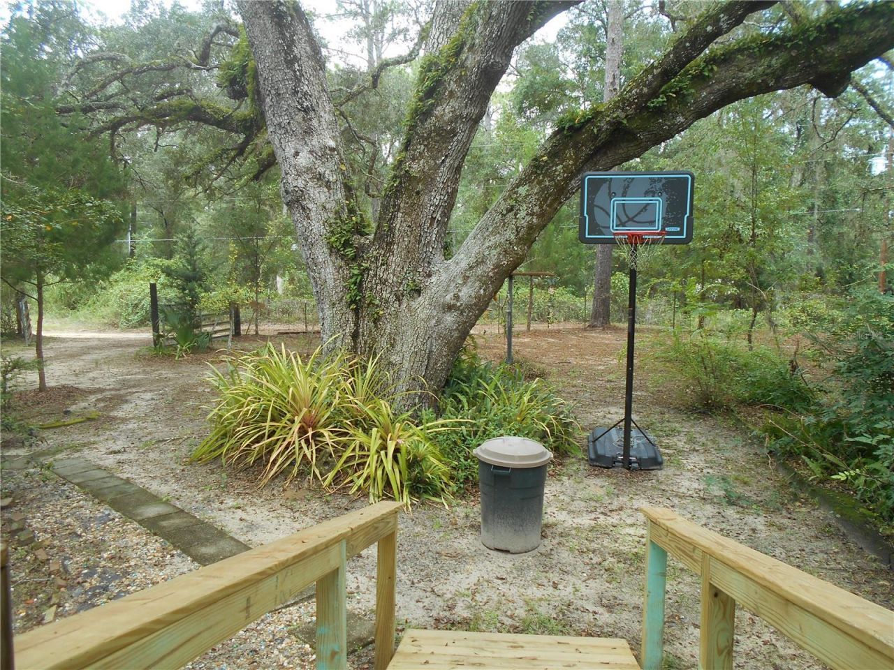 20425 NE 143rd Street, Salt Springs, FL 32134 Photo