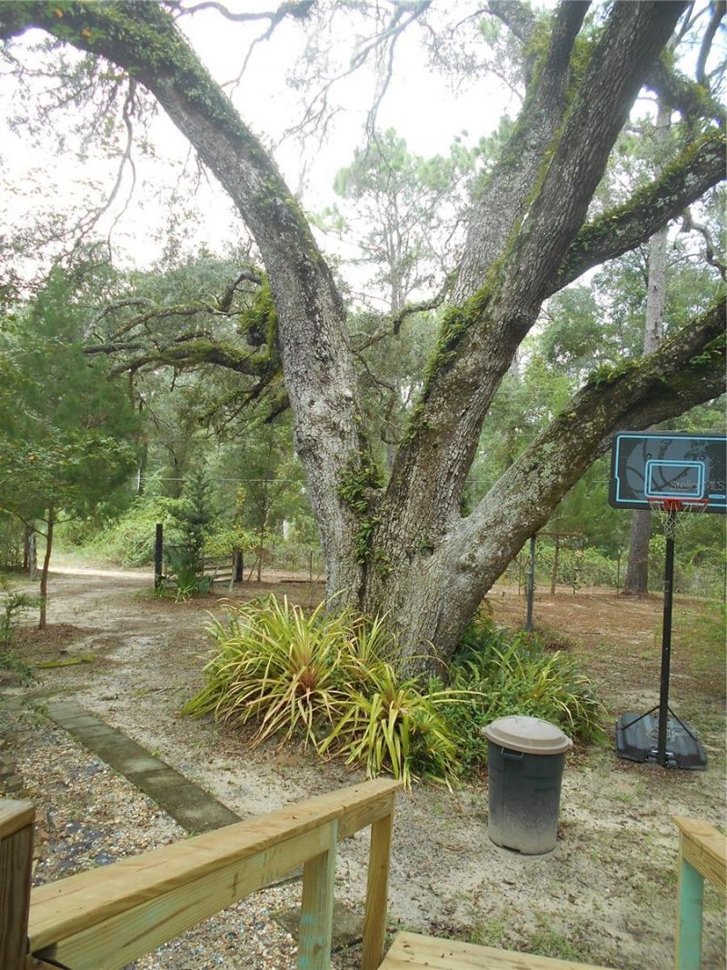 20425 NE 143rd Street, Salt Springs, FL 32134 Photo