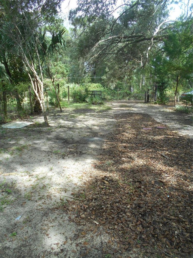 20425 NE 143rd Street, Salt Springs, FL 32134 Photo