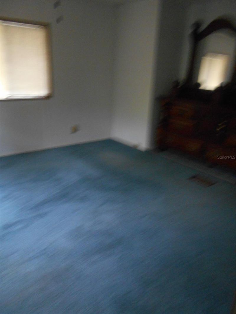 20425 NE 143rd Street, Salt Springs, FL 32134 Photo