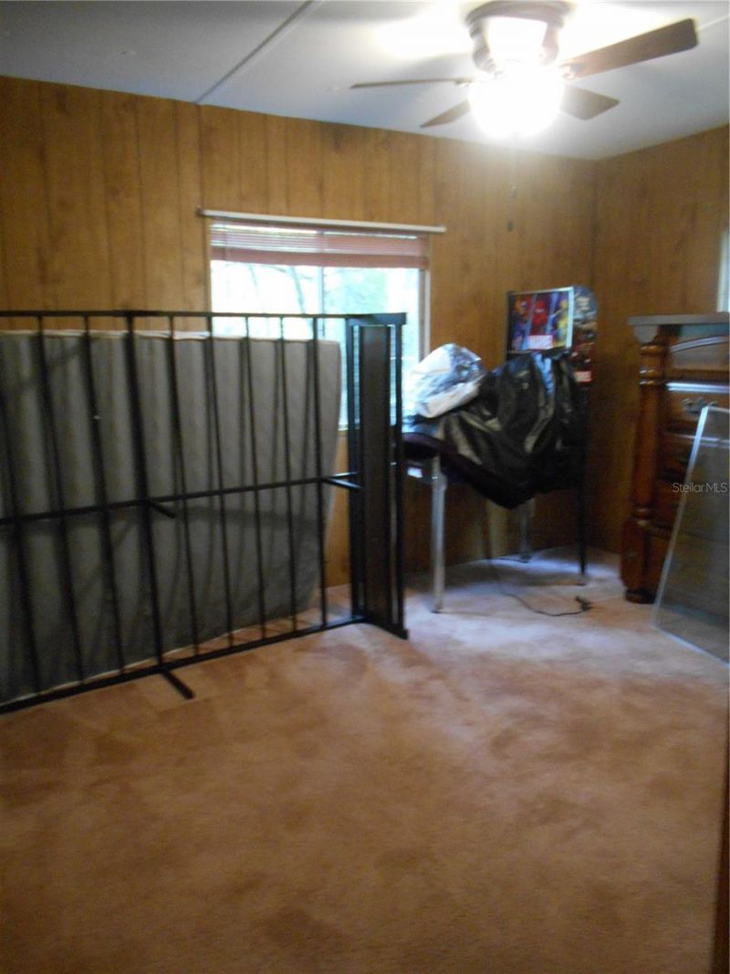 20425 NE 143rd Street, Salt Springs, FL 32134 Photo