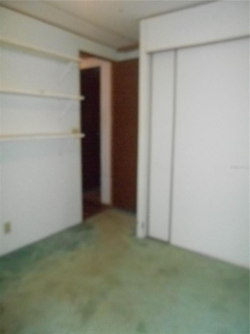 20425 NE 143rd Street, Salt Springs, FL 32134 Photo