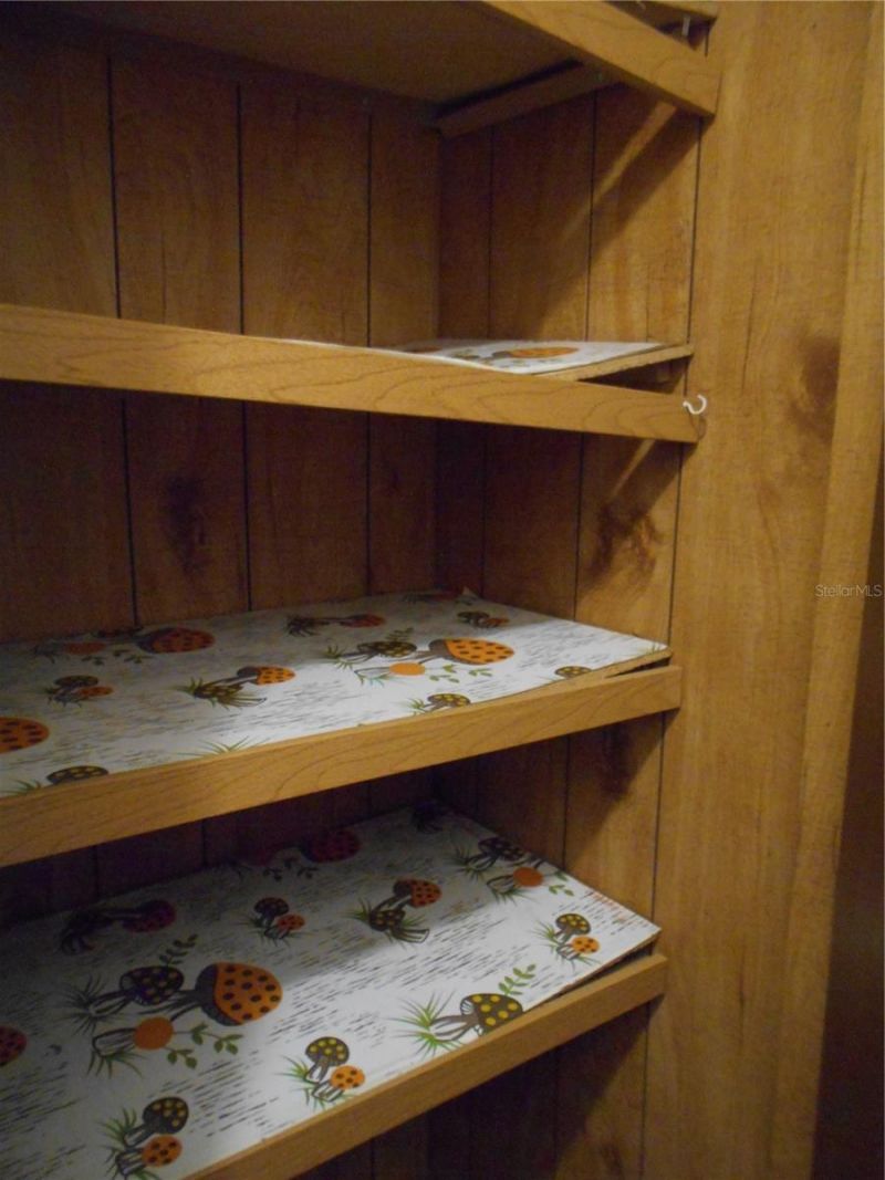 20425 NE 143rd Street, Salt Springs, FL 32134 Photo