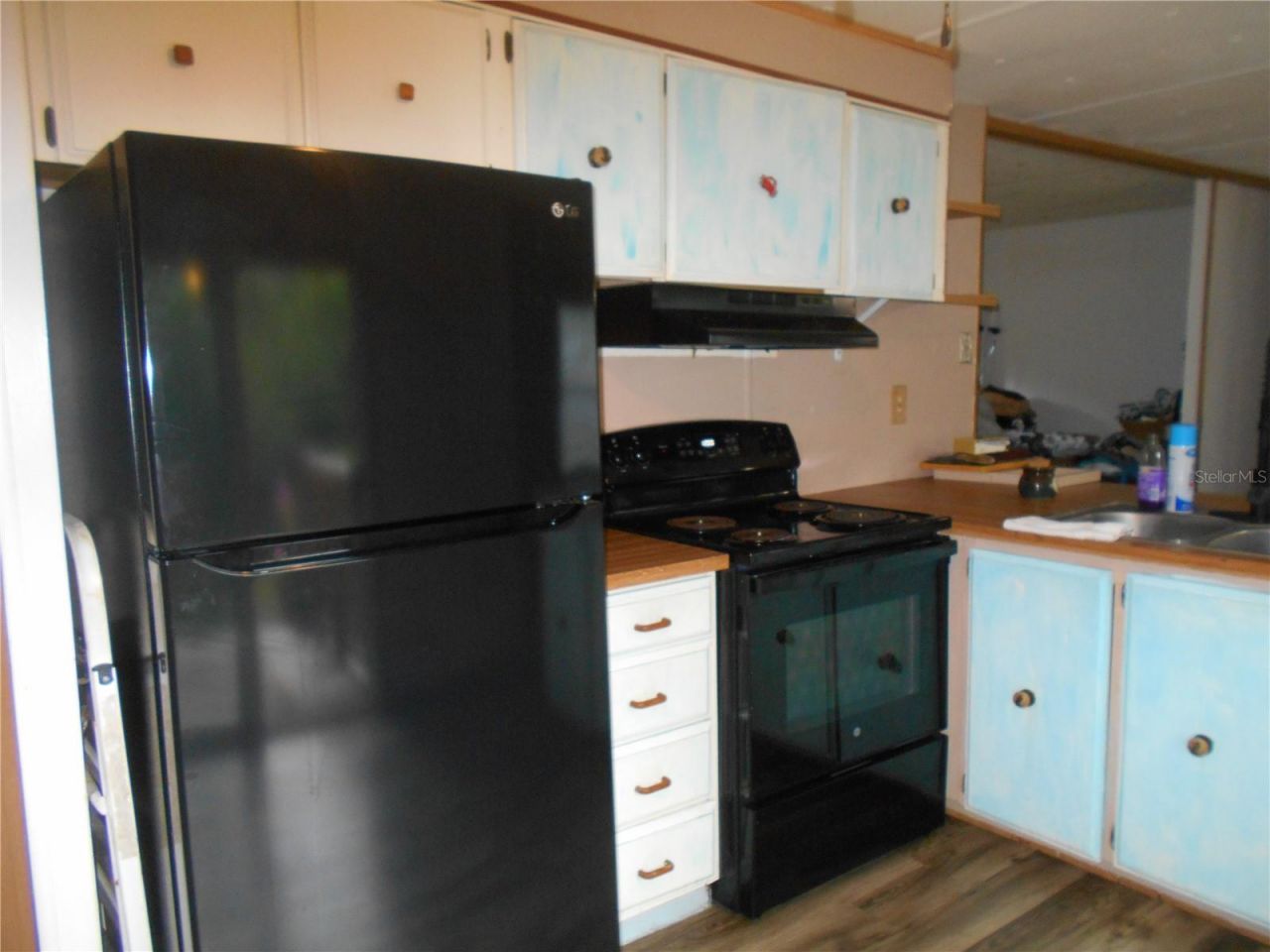 20425 NE 143rd Street, Salt Springs, FL 32134 Photo