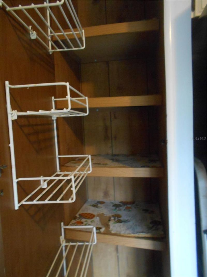 20425 NE 143rd Street, Salt Springs, FL 32134 Photo