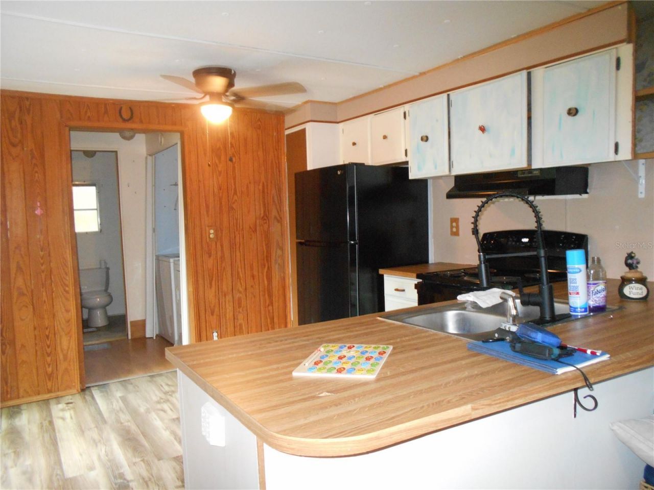 20425 NE 143rd Street, Salt Springs, FL 32134 Photo