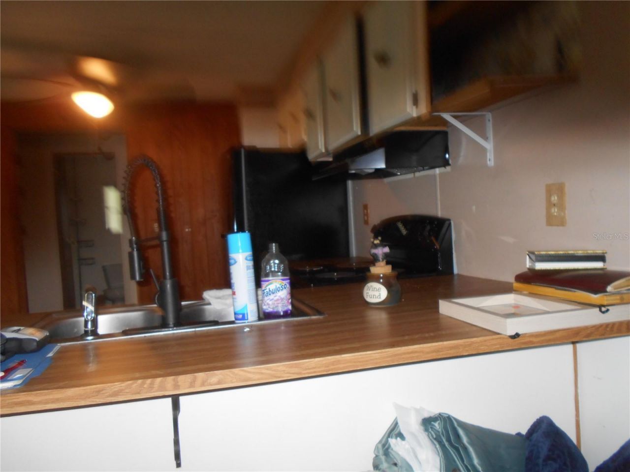 20425 NE 143rd Street, Salt Springs, FL 32134 Photo