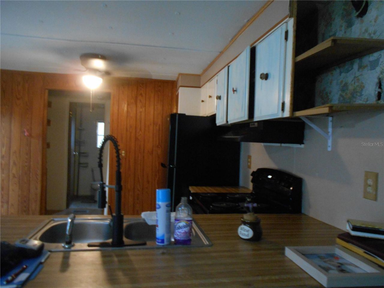 20425 NE 143rd Street, Salt Springs, FL 32134 Photo