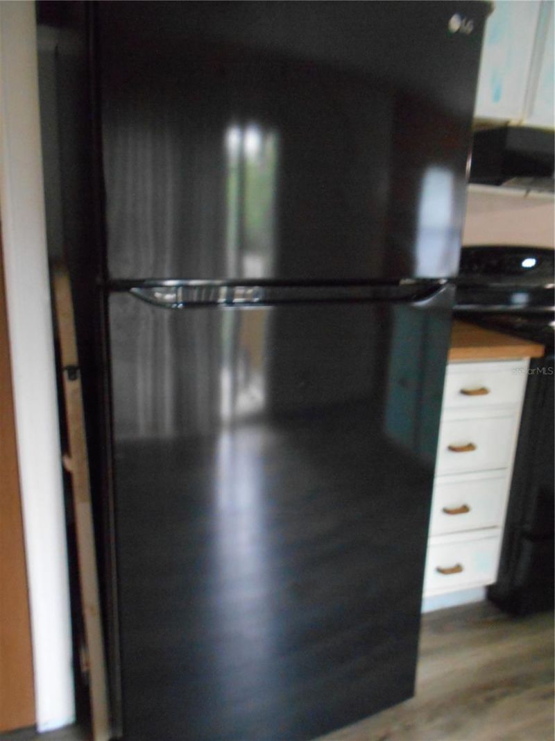 20425 NE 143rd Street, Salt Springs, FL 32134 Photo