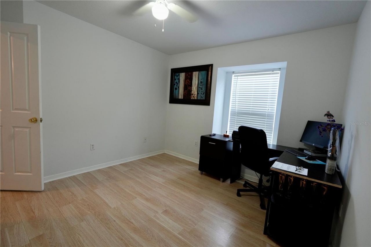 3749 Pendlebury Drive, Palm Harbor, FL 34685 Photo