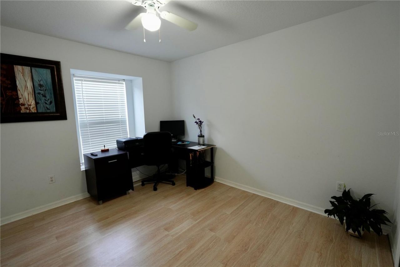 3749 Pendlebury Drive, Palm Harbor, FL 34685 Photo