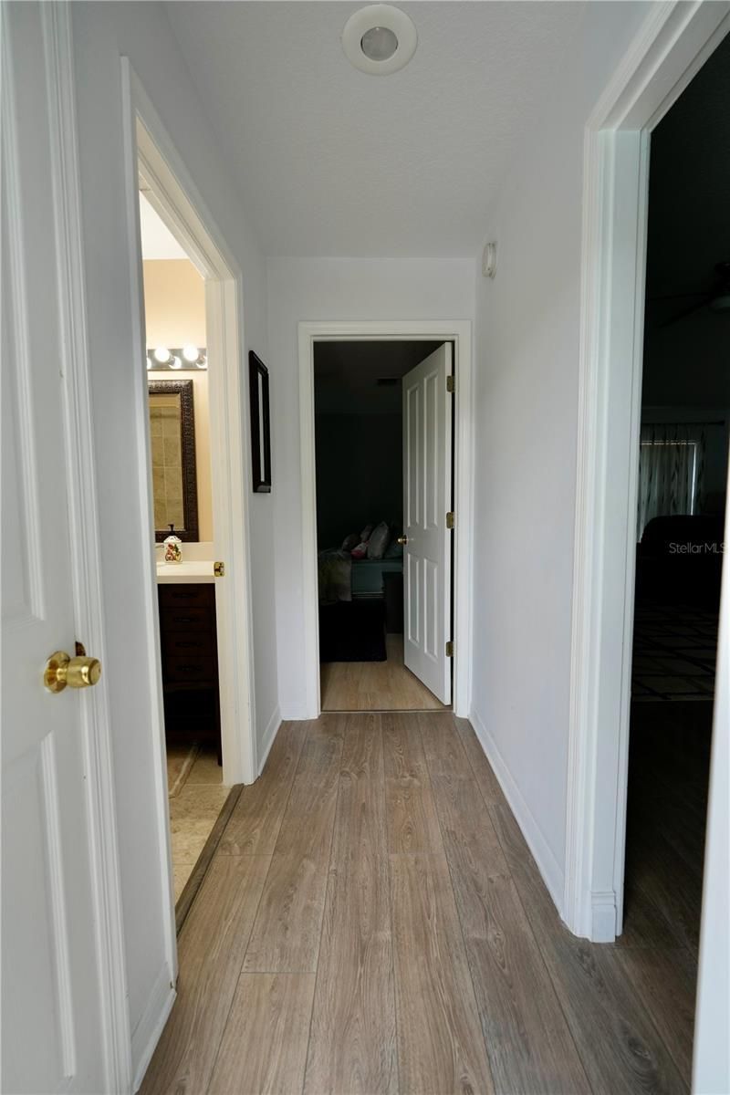 3749 Pendlebury Drive, Palm Harbor, FL 34685 Photo