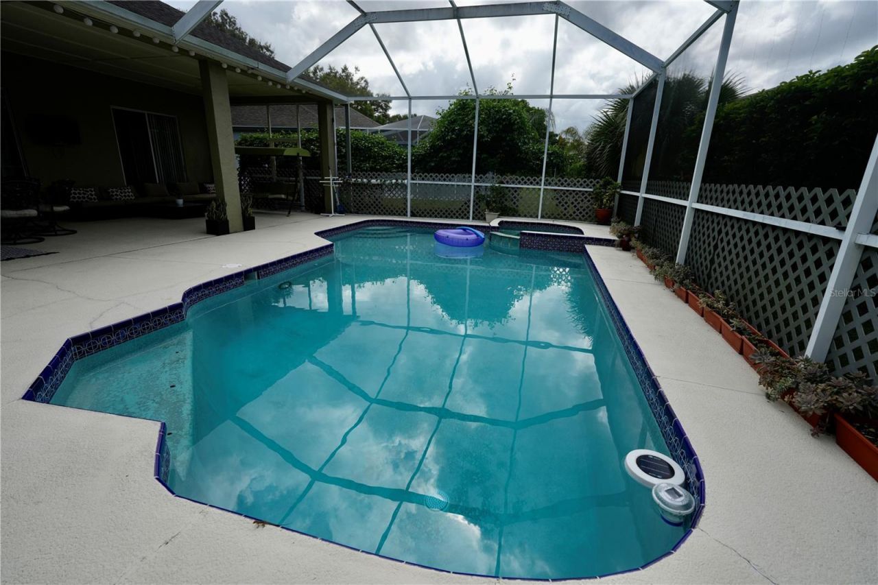 3749 Pendlebury Drive, Palm Harbor, FL 34685 Photo