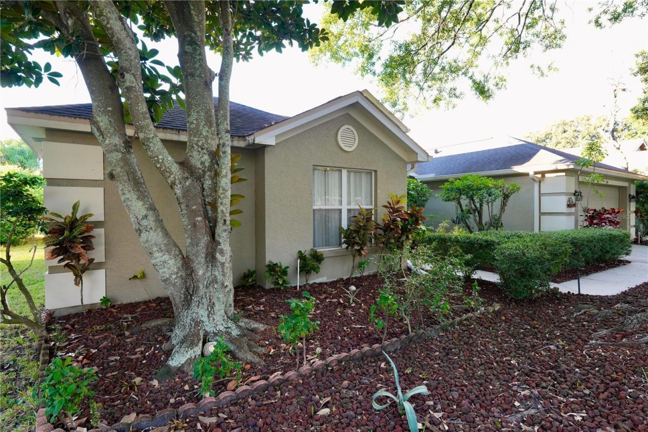 3749 Pendlebury Drive, Palm Harbor, FL 34685 Photo