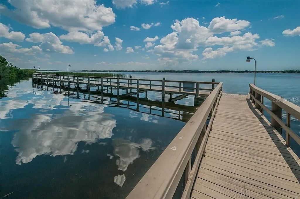 3749 Pendlebury Drive, Palm Harbor, FL 34685 Photo