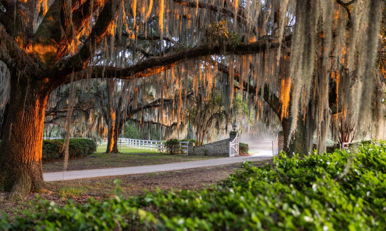 1451 River Road Photo 10