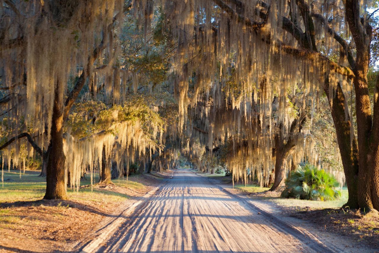 1451 River Road Photo 100