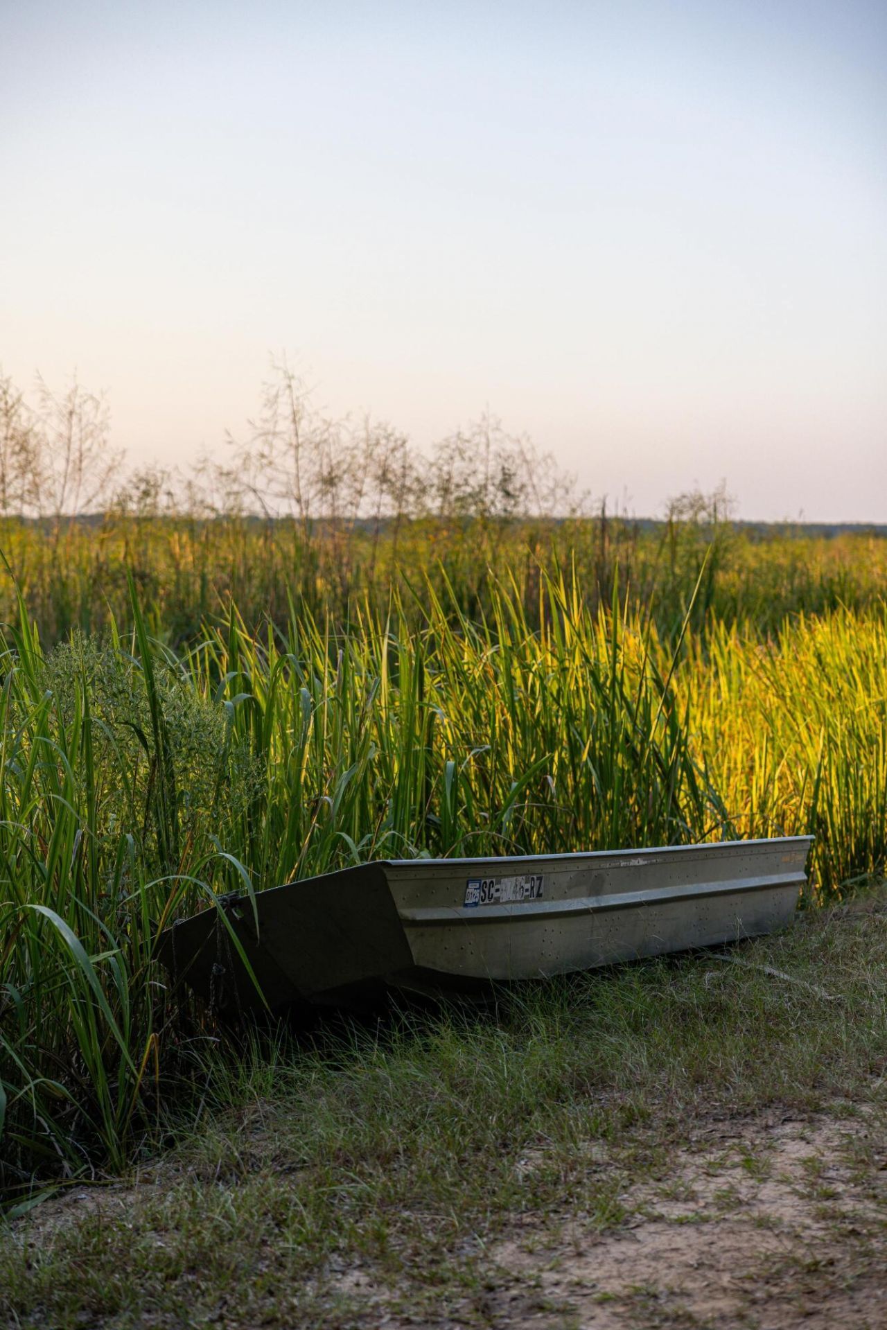 1451 River Road Photo 102