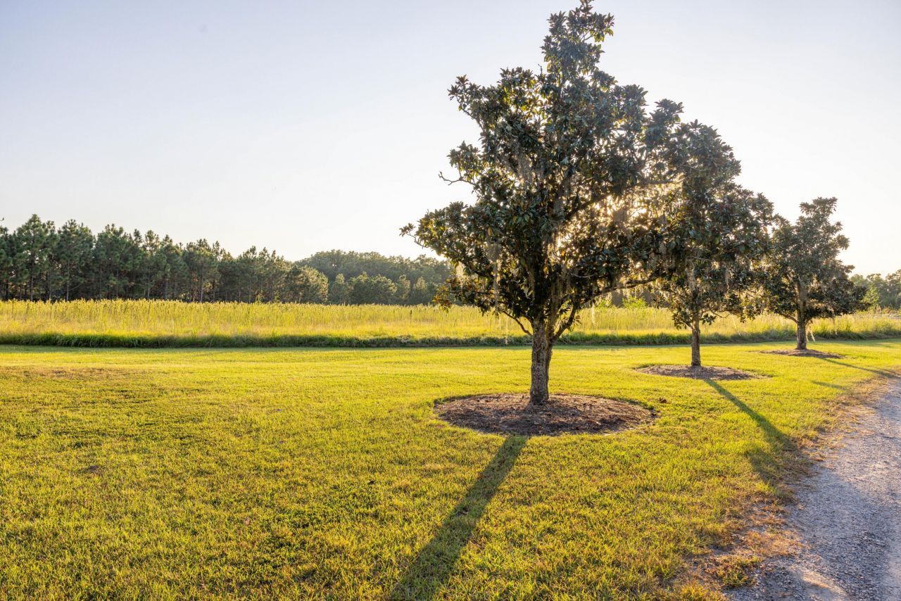 1451 River Road Photo 103