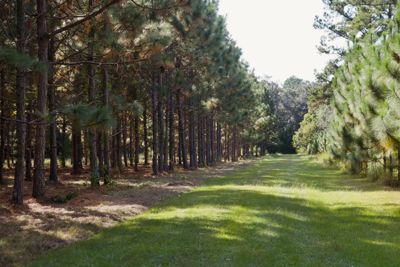 1451 River Road Photo 107