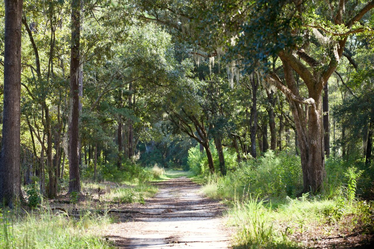 1451 River Road Photo 108