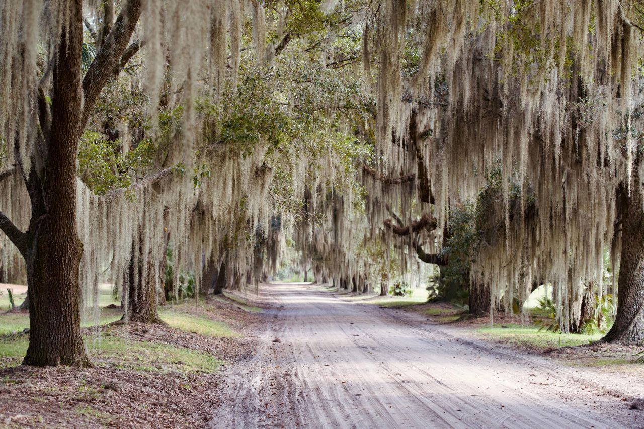 1451 River Road Photo 109