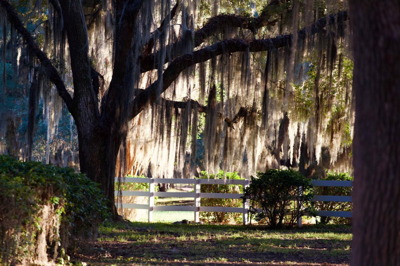 1451 River Road Photo 110