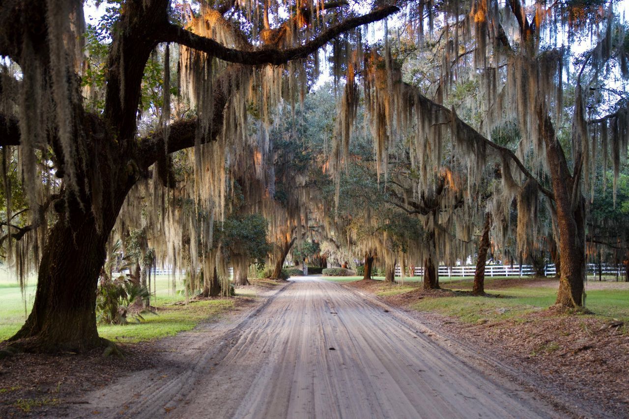 1451 River Road Photo 111