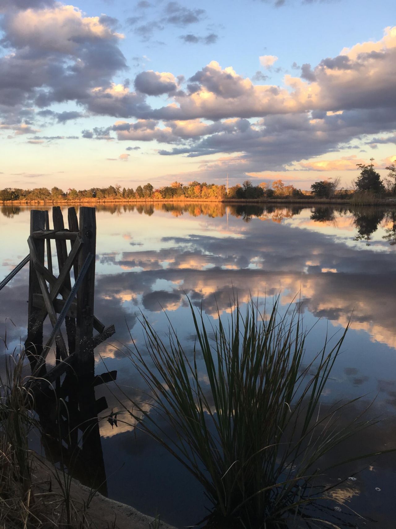 1451 River Road Photo 17