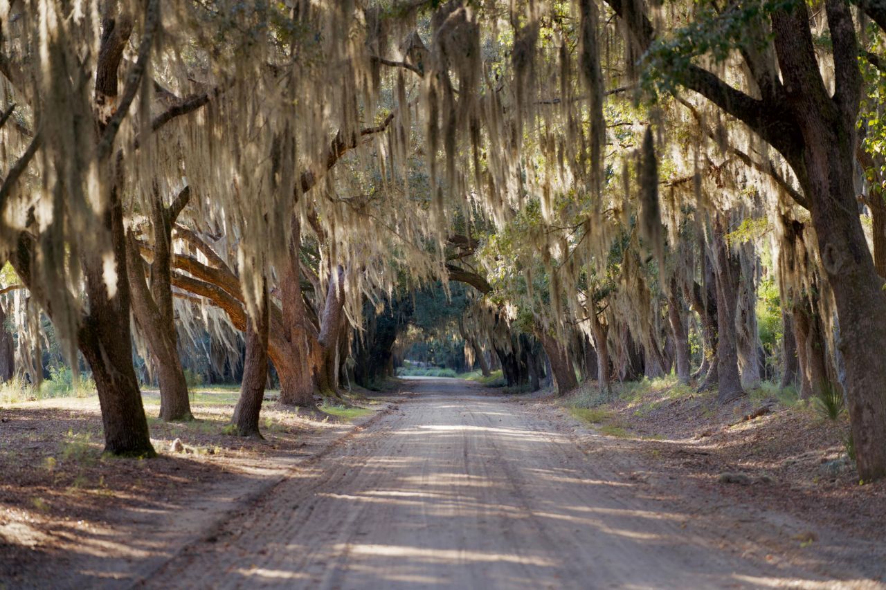 1451 River Road Photo 20