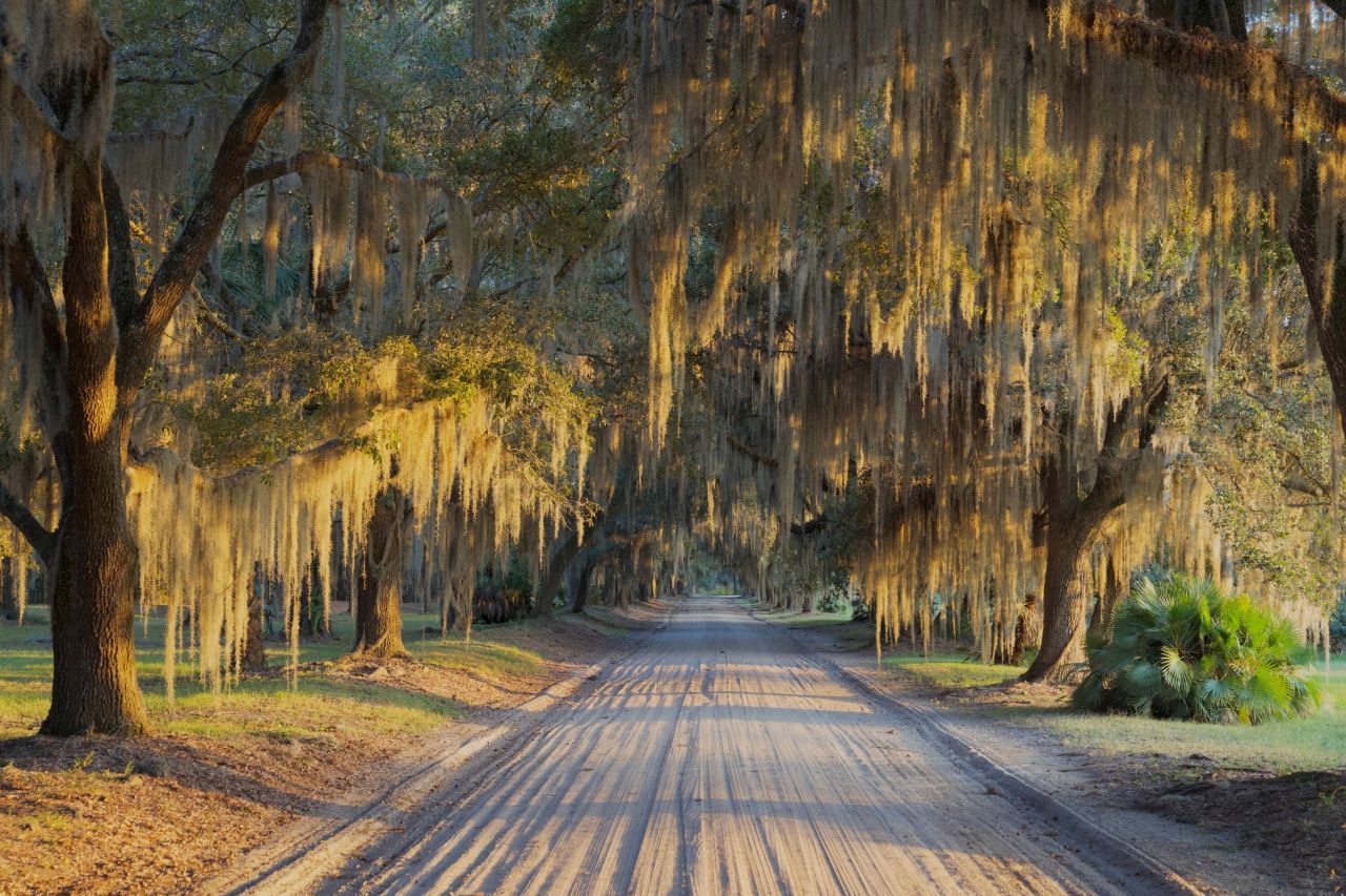 1451 River Road Photo 21