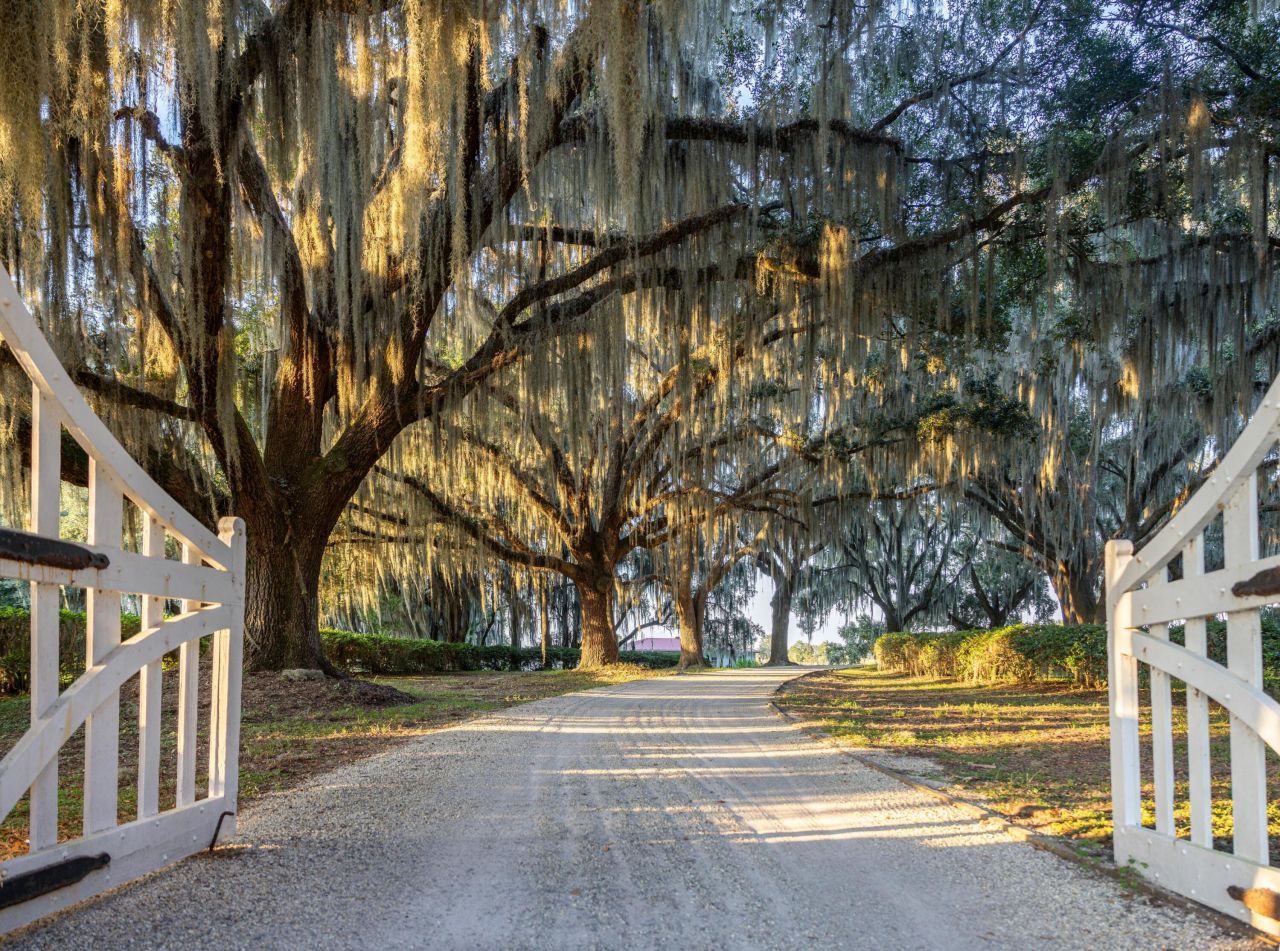 1451 River Road Photo 22