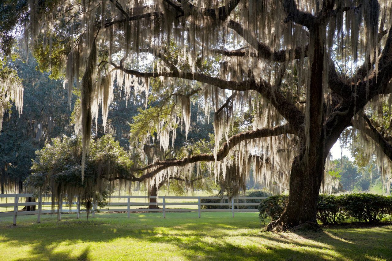 1451 River Road Photo 26