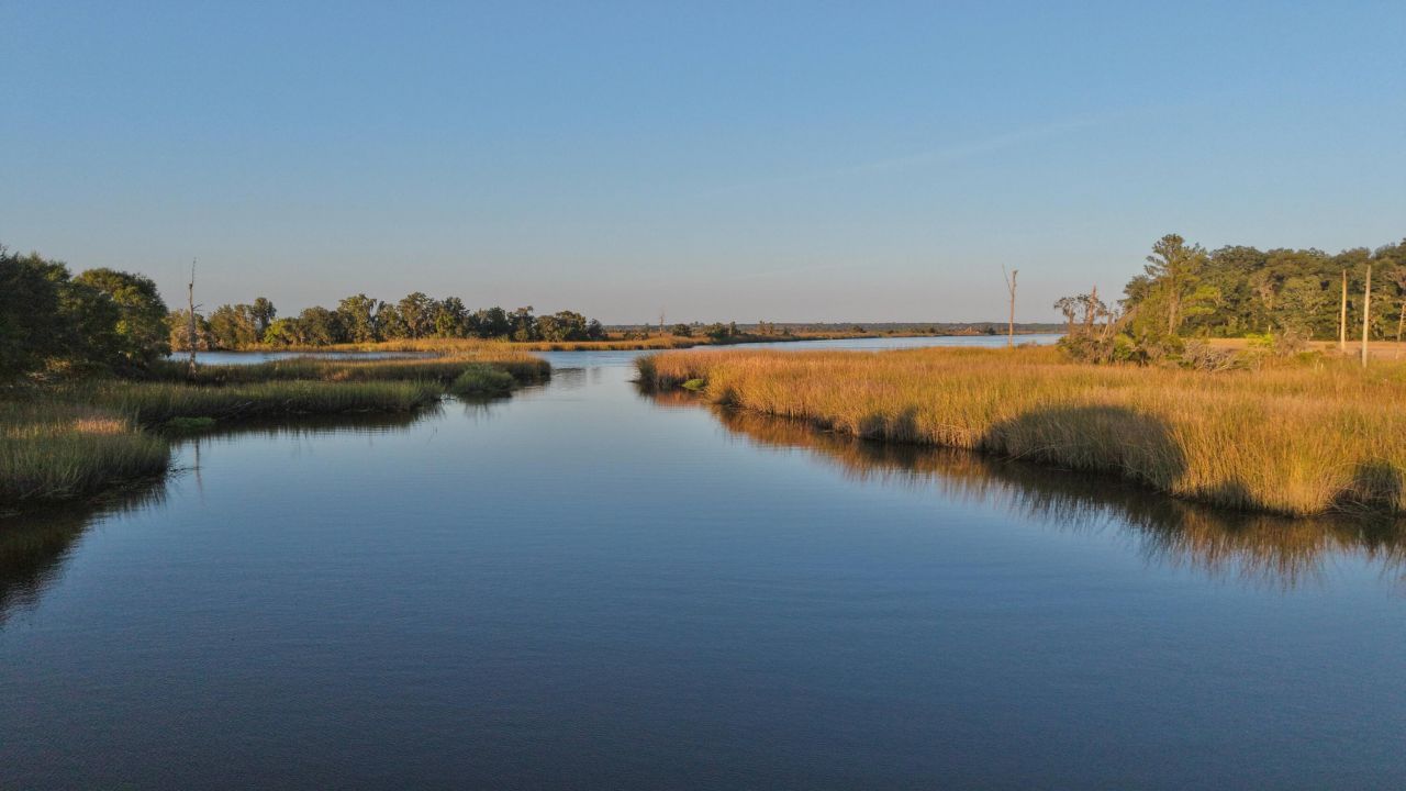 1451 River Road Photo 34