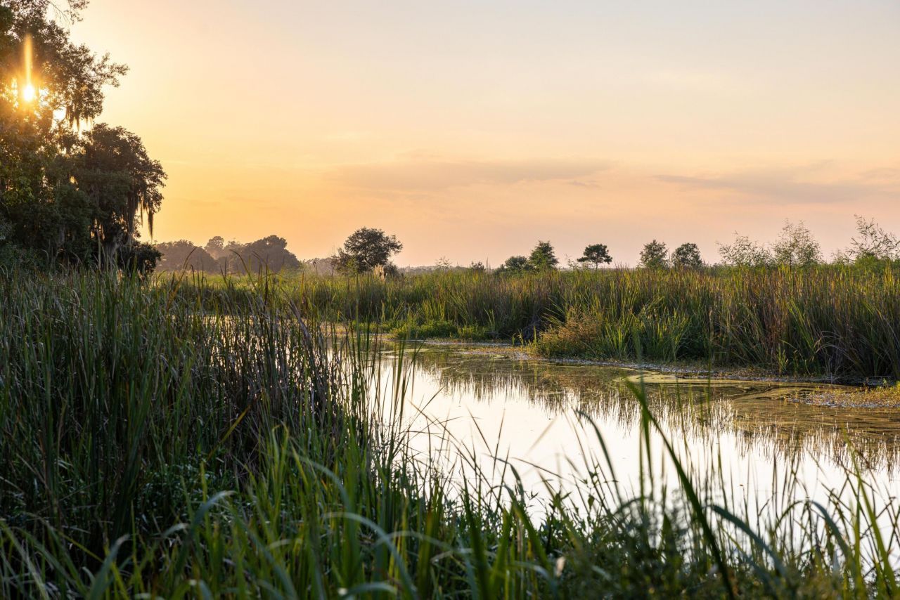 1451 River Road Photo 35