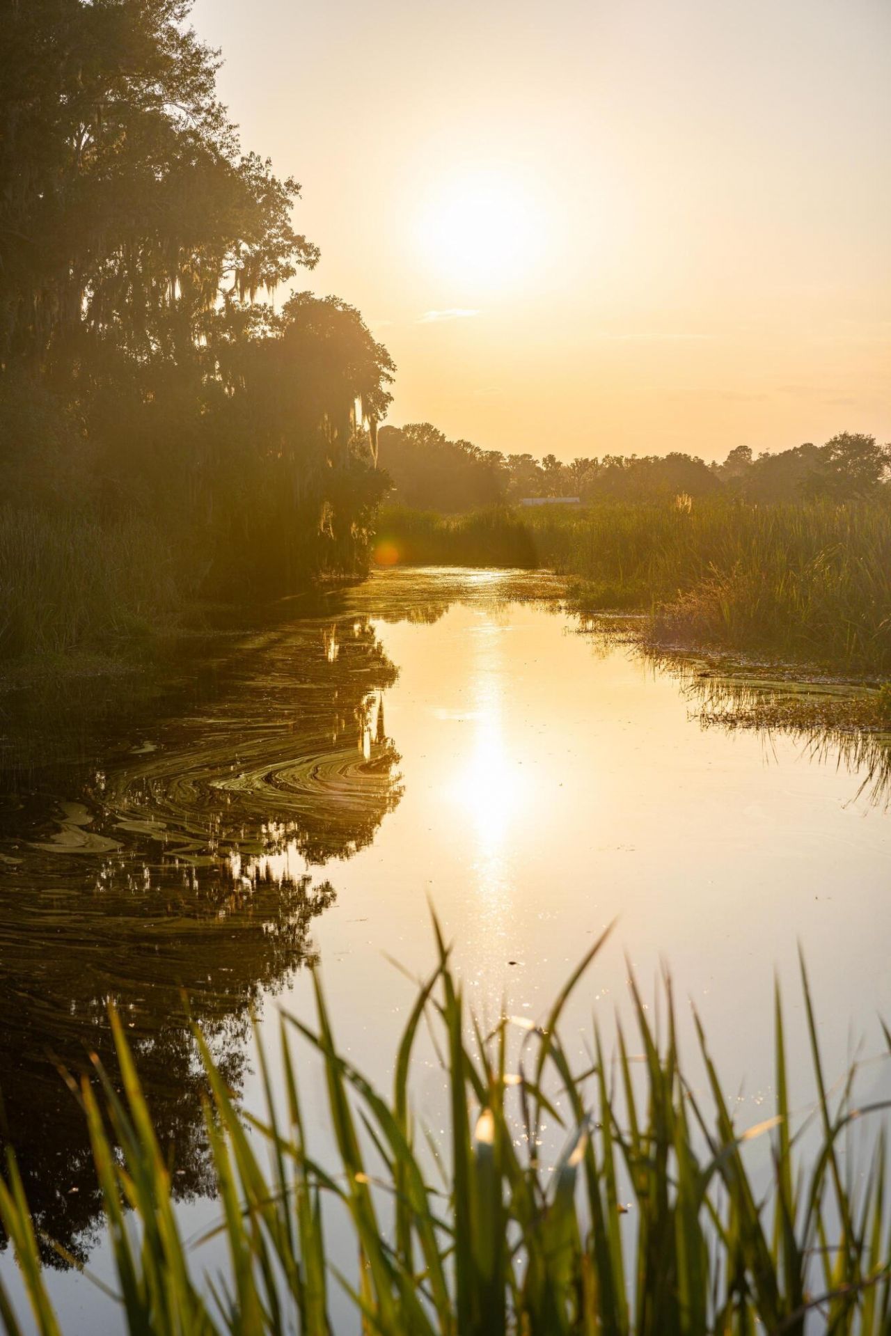 1451 River Road Photo 36