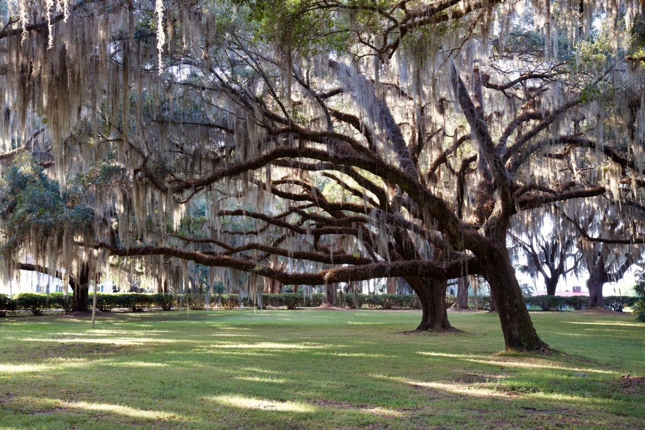 1451 River Road Photo 39