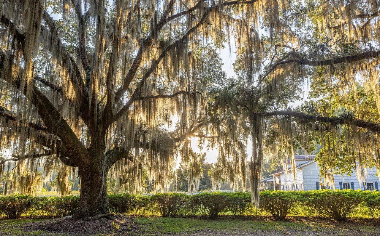 1451 River Road Photo 4