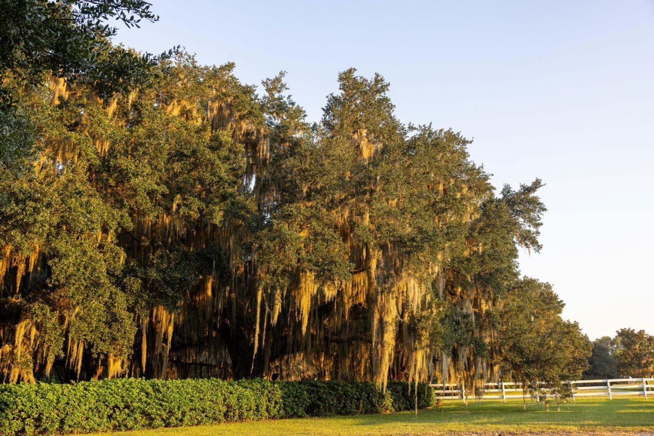 1451 River Road Photo 41