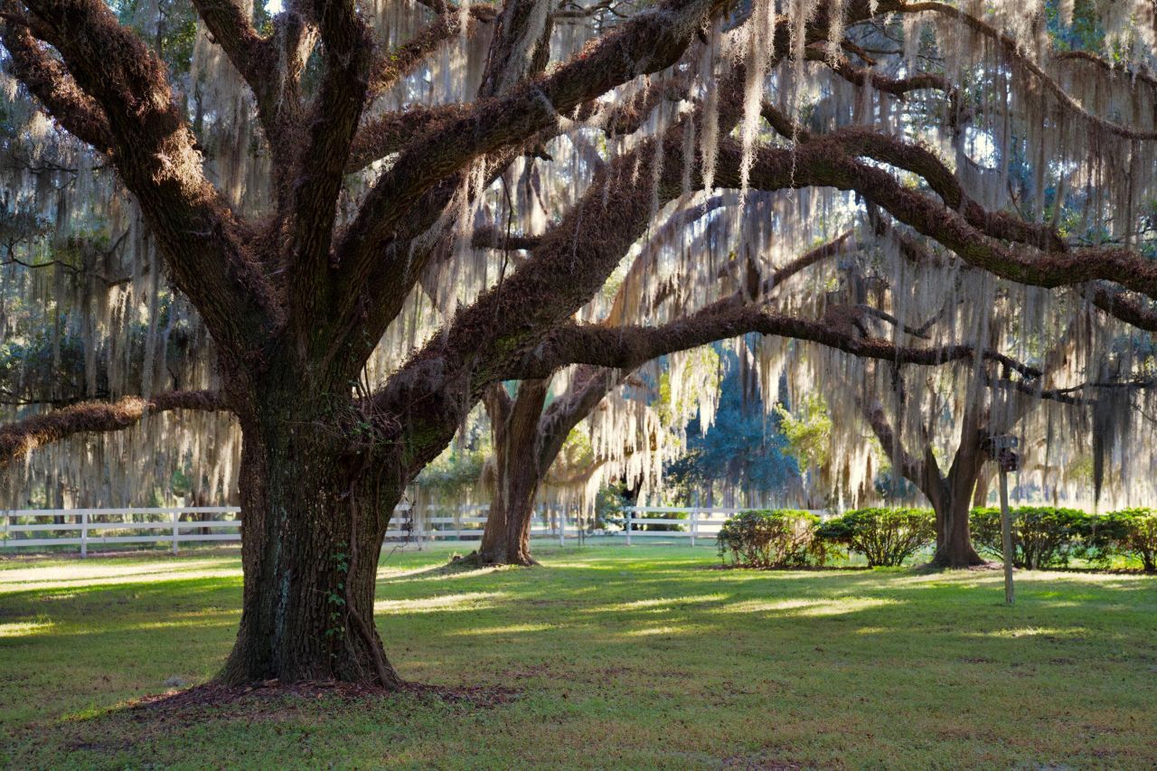 1451 River Road Photo 7