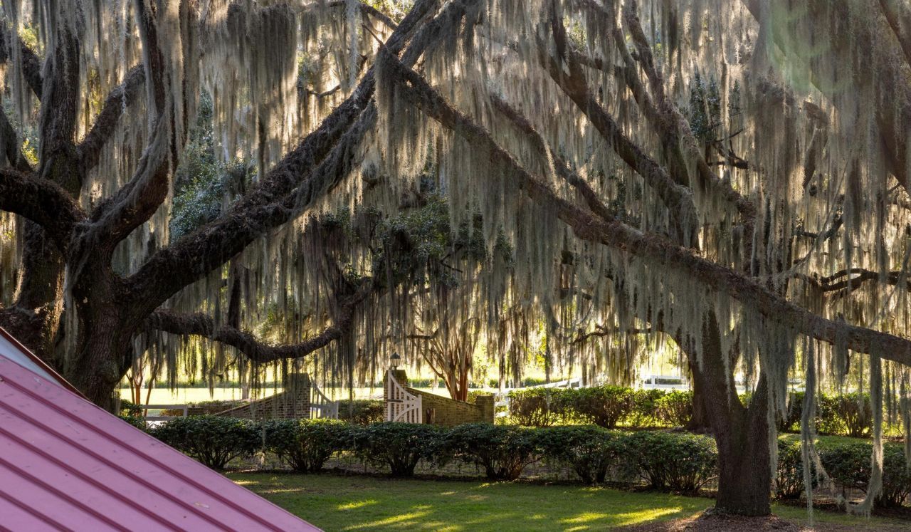 1451 River Road Photo 71